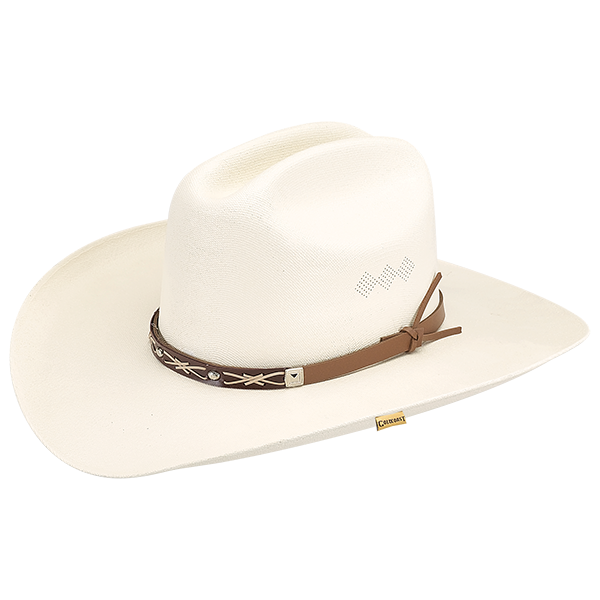 Wayne  Paper Western Hat